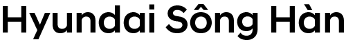 hyundai sông hàn đà nẵng